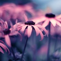 Venue Lorem ipsum dolor sit amet consectetur adipiscing elit sed